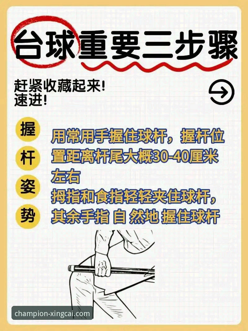 3个关键维度解析杏彩体育特点，新手快速上手指南